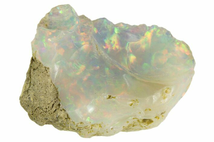 Brilliant Precious Ethiopian Fire Opal ( grams) #333513